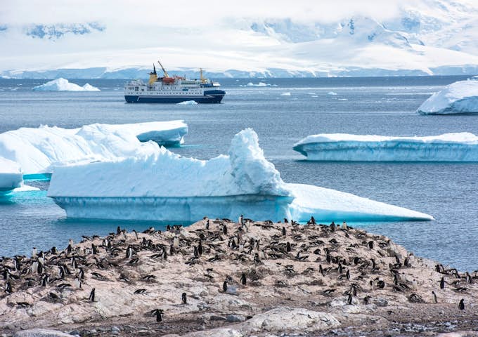 Penguins and Ocean Nova, Antarctic Vessel in Antarctica