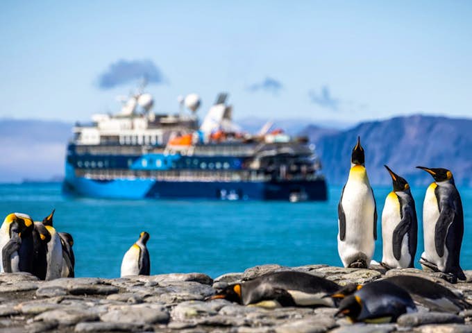 Ocean Victory and king penguins, Antarctic vessel, Antarctica