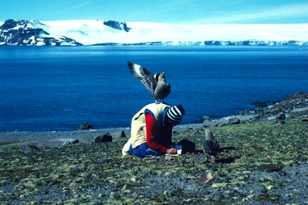 Antarctic Peninsula History