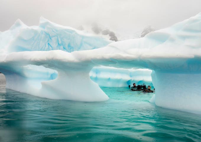 Scuba diving in Antarctica