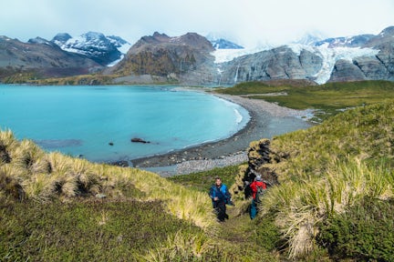A wide view of Gold Harbour in South Georgia. A wide bay with a beach dotted with king penguins and fur seals, and a huge glacier covering the mountains