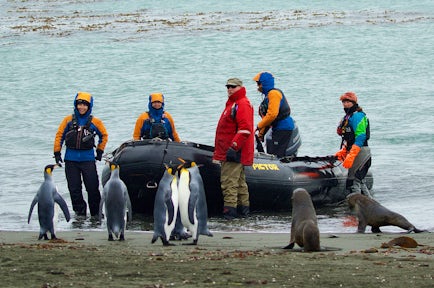 Fly To Antarctica & Cruise Back