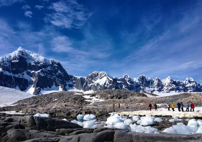 Gentoo penguin rookery,  Pleneau Island, Antarctica
