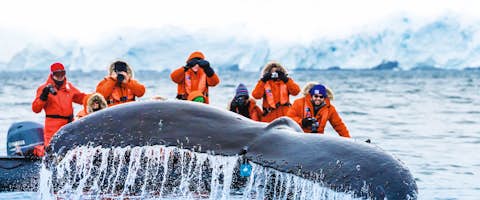 Antarctic Express Fly & Cruise
