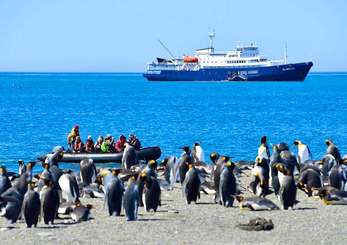 Plancius Ship in background with colony of penguins, Antarctica