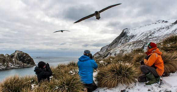 Tourists watch light-mantled albatrosses flying overhead in the snow at Elsehul, South Georgia