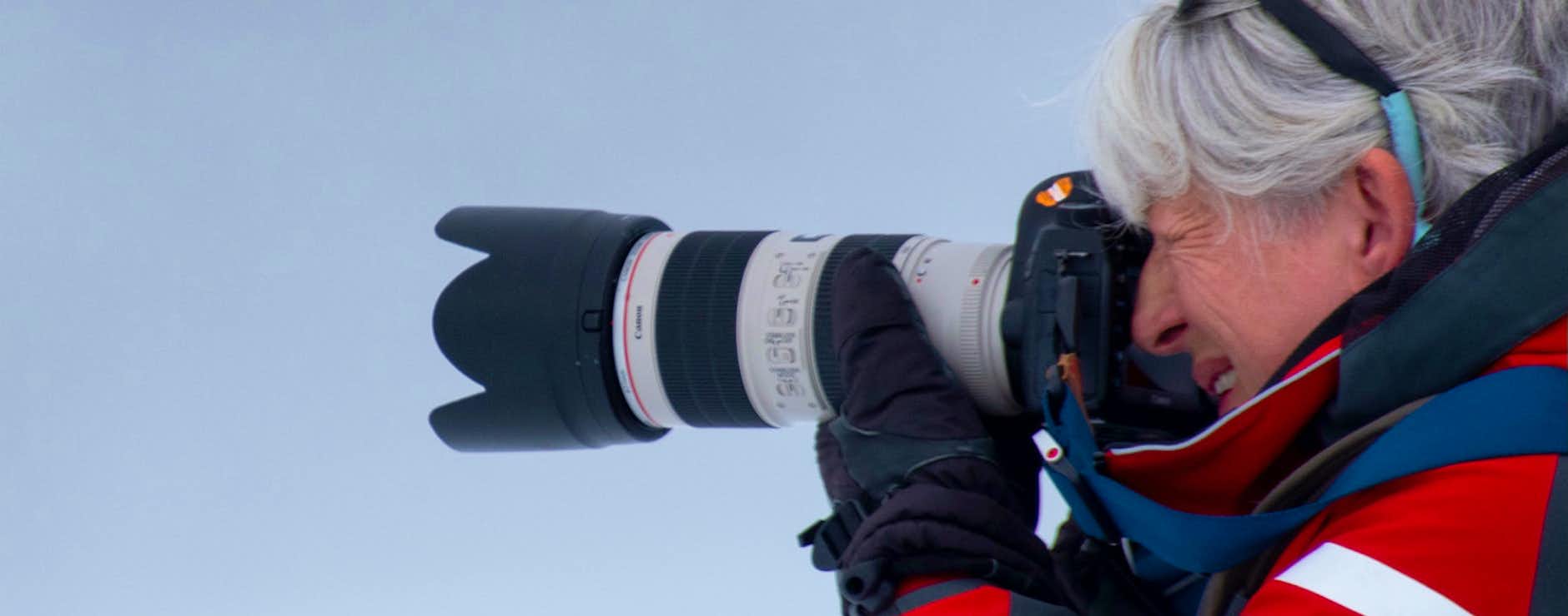 Banner image