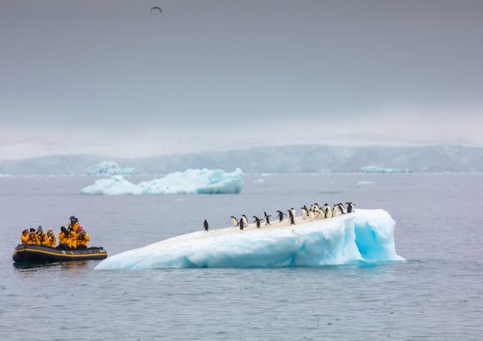 Zodiac trip from Ultramarine Antarctic vessel in Antarctica