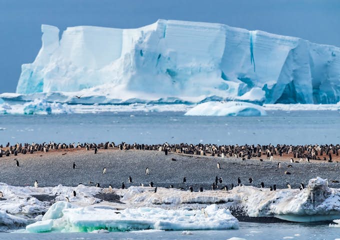 Cape Adare penguin colony in the Ross Sea, Antarctica
