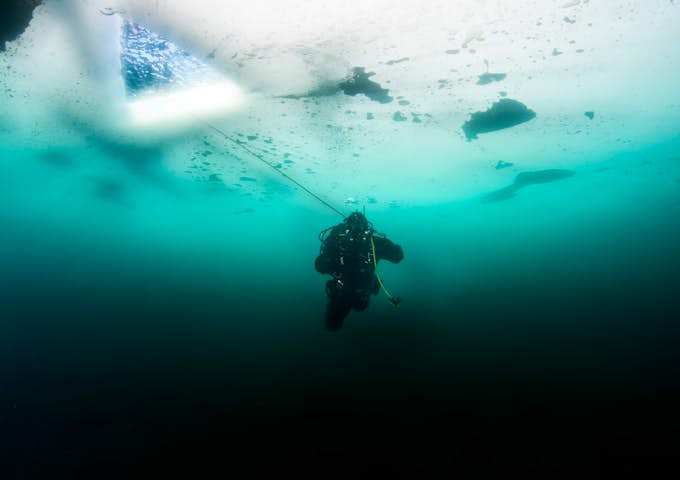 Scuba diver under the ice Antarctica