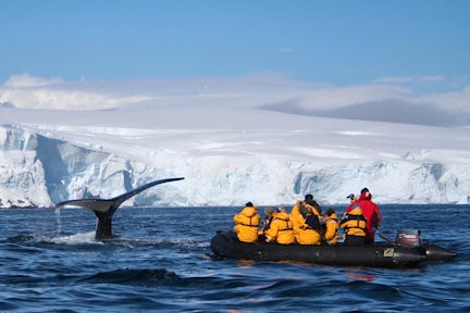 Humpback whale flukes near a zodiac in Antarctica