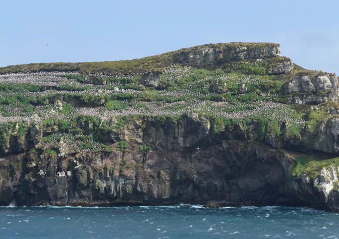 Subantarctic Islands
