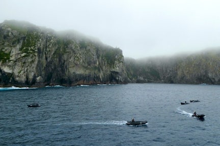 Zodiac cruise at the Snares Islands in New Zealand's Subantarctic islands