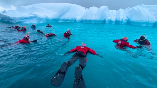 Snorkellers snorkel near an iceberg 