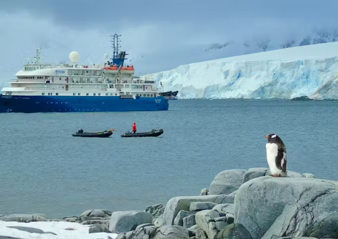 Gentoo penguin in front of Sea Spirit, Antarctic vessel