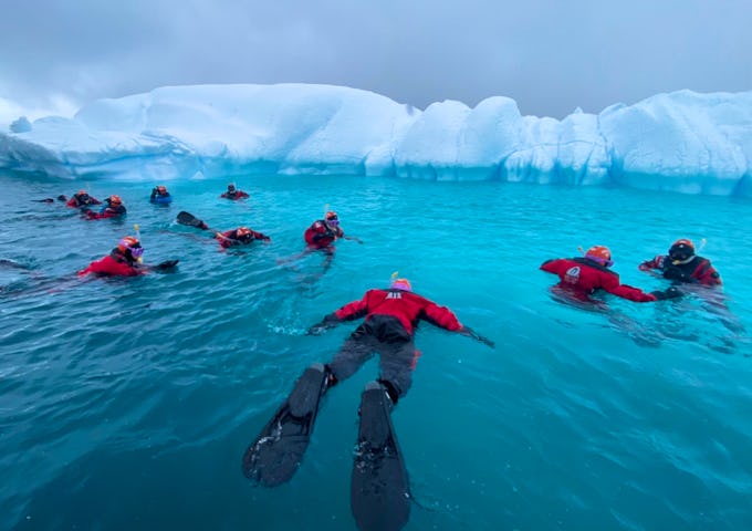 A group fo tourists snorkel amid the ice in Antarctica