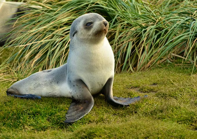 When to go to Antarctica