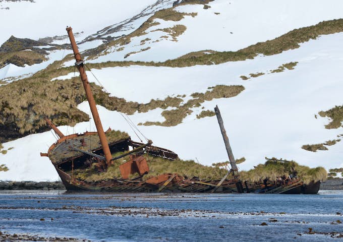Brutus shipwreck at Prince Olav Harbour in South Georgia