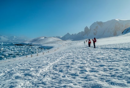 Tourists looking at a gentoo penguin highway on Cuverville Island