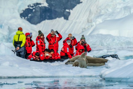Tourists in a zodiac photograph seals on an ice floe