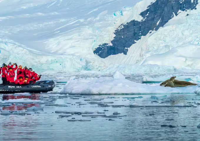 Zodiac of tourists in Antarctica watching a seal on an ice floe