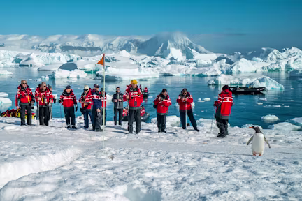 A group of tourists watch gentoo penguins using biosecurity guidelines in Antarctica