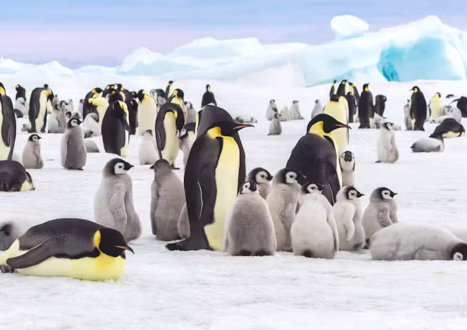 When to go to Antarctica