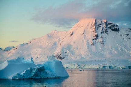 Marguerite By south of the Antarctic Circle