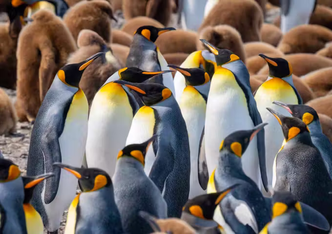 When to go to Antarctica