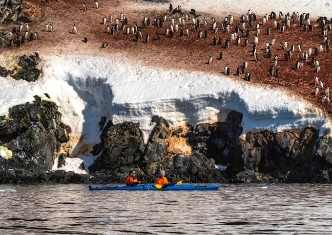 Kayakers paddle past hundreds of penguins in Antarctica