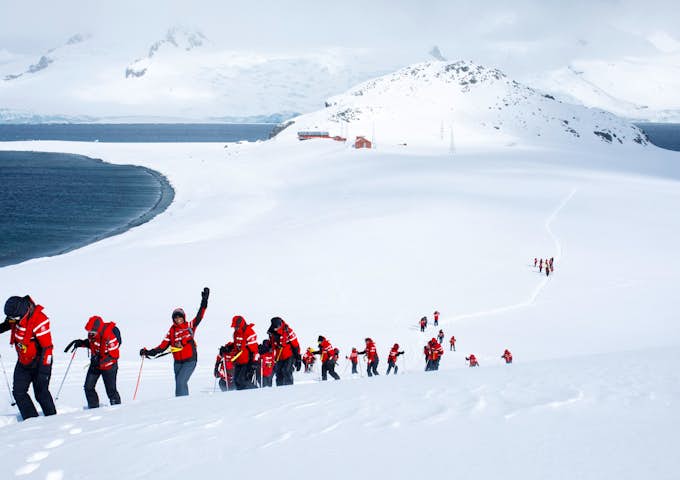 Hikers trek across a snowy incline on Half Moon Island, Antarctica
