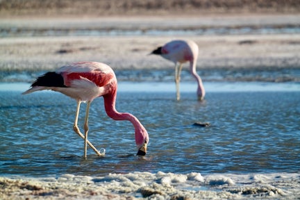 Atacama Desert