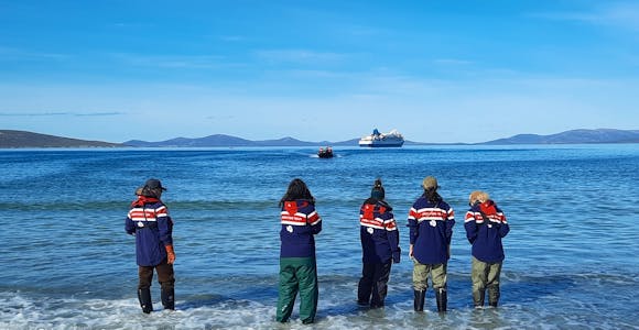 A team of guides waits for a zodiac of passengers to land on a beach at Saunders Island in the Falkland Islands. Their cruise ship is in the background