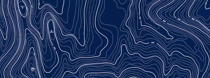 Swoop Says background image